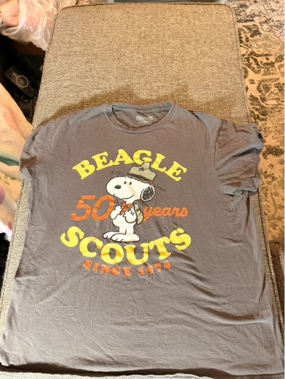 Peanuts Snoopy Beagle Scouts Large Gray 1974–2024